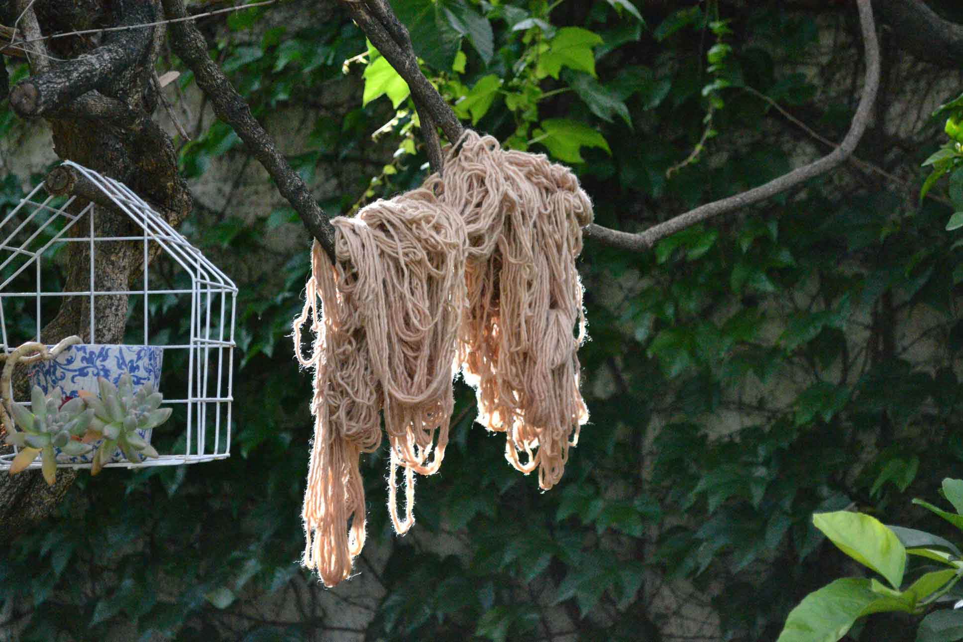 foto_tintes_naturales